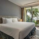 sốc! cần bán 1,42 tỷ căn hộ 5* flamingo cát bà whynham vận hành. 40m2 ban công rộng view biển, núi