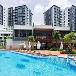 cho thuê ch diamond brilliant, 18 triệu, 112m2, view đẹp, 2pn, 2wc full nội thất, n1, tân phú, hcm