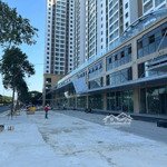 vung tau centre point tung giỏ hàng mới đợt cuối cùng trước khi bàn giao nhà vào quý 2 năm 2025