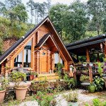 bán đất và nhà kinh doanh homestay. dt 3000m2 đang quy hoạch đón khách du lịch.