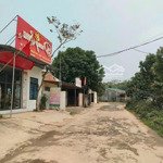 ___192m2 lưu quang - minh quang - tam đảo - vĩnh phúc
- ô này chủ để lâu mấy năm bỏ quên. giá quá