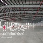 kho xưởng ccn nguyên khê, 1000m2 đến 20.000m2, pccc, cao 12m, cont vào, tba 10.000kva, 50ngh/th/m2