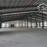 Cho Thuê Xưởng 3200M2 Có Giấy Phép Dệt Nhuộm Ở Kcn Phúc Long, Bến Lức. Có Pccc, Trạm Hạ Thế