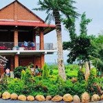 view đồi siêu đẹp phước tân - xuyên mộc - brvt