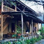 chính chủ bán 1520m đất làm homestay ở pà cò, hang kia giá 1 tỷ 950tr