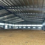 cho thuê nhà kho và xưởng độc lập dt 100.000m2 tại ccn chính nghĩa, ân thi, hưng yên