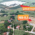 bán đất thạch quảng, thạch thành, thanh hóa. giá 135 triệu/ lô