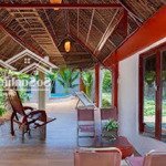 chính chủ cần bán villa chí linh đang kinh doanh, diện tích đất 500m², có sân vườn và hồ bơi