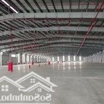 kho/xưởng cảng khuyến lương, 500m2 đến 6.000m2, pccc tự động, cao 11m, 110nghìn/m2/th