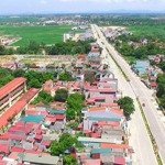 cho thuê đất kinh doanh buôn bán