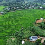 chính chủ cần bán lô đất view ruộng bậc thang tại cao phong, hoà bình