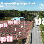 285tr đầu tư mặt tiền đường nhựa 12m - tuyến ven sông - ngay trung tâm huyện tân phú đông