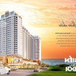 chinh phục đỉnh cao căn hộ vung tau centre point với mức giá từ 39 triệu/m!