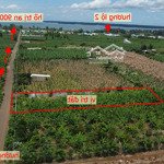 bán đất tại thanh bình, trảng bom, đồng nai, giá siêu hời 1,6 tỷ, 1000m2