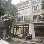 cho thuê liền kề đẹp hdi nguyễn tuân, thanh xuân. dt 96m2, 4 nổi, 1 hầm. nhà đẹp 50 triệu