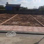 đất biển quất lâm. diện tích 81m2, mặt tiền 4,9m giá 1tỷ2