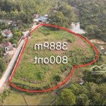 bán đất tại xã, cao sơn, lương sơn, hòa bình, 7,2 tỷ, 3889 m2