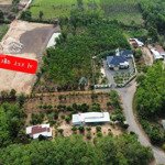 bán gấp 1.890m2 shr cạnh công nghiệp, sát chợ, trường cấp 2-3, dân đông giá 550tr