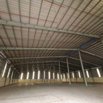 cho thuê kho 4800m2 phường bình chiểu, thủ đức, có pccc tự động nghiệm thu