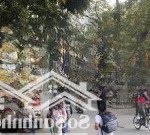 siêu phẩm 5 tầng nguyễn khuyến chỉ 19,5 tỷ, 85m2, mặt tiền 4,5m kinh doanh đỉnh. lh công 0931706698