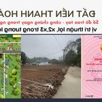 bán đất thạch thành chỉ hơn 100 triệu/lô, sổ đỏ full thổ cư, đất đẹp công chứng ngay trong ngày