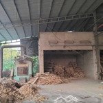 xưởng xẻ gỗ, minh long, chơn thành, 5500m2 giá 80tr, đầy đủ máy móc