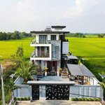 bán đất tại dh97, long chánh, gò công, tiền giang, 2,5 tỷ, 500m2