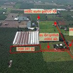 bán 3.845m đất trồng cây lâu năm vị trí đẹp, giá tốt nhất khu vực. lh 0379539579