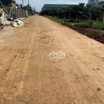 bán 1000m2 đất khu bàn cờ xã liên hiệp, dt 12x93 có 100m2 thổ cư giá 3.6 tỷ