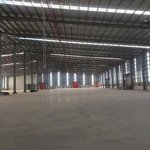 kho xưởng kcn tân dân, 2000m2 20000m2 25.000m2, mới 100%, pccc tự động, miễn thuế, 55nghìn/m2/th