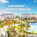 bán biệt thự tại vinhomes golden avenue móng cái, 7,057 tỷ, 90,6m2, view công viên, bể bơi...