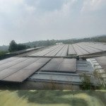 bán trại nuôi heo dt 21.000m2 ở đắk nông