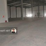 x1438. cho thuê kho xưởng trong cụm công nghiệp thái bình 4.000m2 và 6.000m2 pccc tự động giá 3$