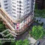 chính chủ cho thuê chung cư central plaza, q. tân bình, 91 đường phạm văn hai diện tích 85m, 3pn,