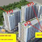 bán nhà ở xã hội quang châu ( vaga home ) studio 40m2, 1n+ và 2 ngủ 63m2.