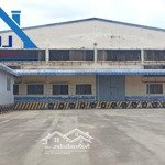 cho thuê xưởng kcn nhơn trạch 12.000 m2 chỉ 4 usd/m2