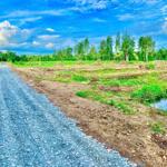 Chủ cần bán nhanh gọn đất Ấp Phú Trí B1 Phú Hữu - Châu Thành Hậu Giang