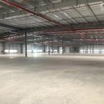 Cho thuê nhà xưởng KCN Bắc Giang, dt 11000m2, xưởng mới EPE. LH 0988 457 392