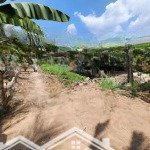 bán đất tại xã long đức, long phú, sóc trăng, 400 triệu/ 190.5 m2, mặt tiền đẹp