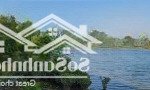 bán ô đất phường đại yên diện tích 1576,5 m2 thực tế gần 2000 m2. vị trí siêu đẹp!