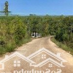cần bán gấp lô đất tại xã lộc khánh, lộc ninh, bình phước, 1,5 tỷ, 1201,9 m2, hàng hiếm uy tín