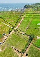 cân bán gấp đất xã bình hải.huyen bình sơn.tinh quảng ngãi