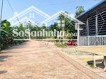 cần ra gấp đất trảng bom đồng nai full thổ cư 133m2 chỉ với 750tr