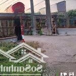 bán đất nền 170m2 tại xã an bình, phú giáo, bình dương, giá chỉ 750 triệu