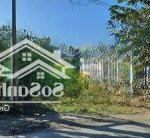 bán đất, đ.nguyễn trọng quyền, trung kiên, thốt nốt,cần thơ,550tr/120m2,cách co.opmart thốt nốt 1km
