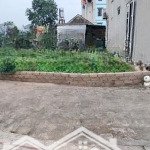 hàng hiếm, trung hoà chỉ nhỉnh 1, x tỉ. diện tích 52,5m2 full thổ