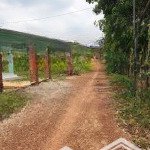 bán đất 230m2 tại xã an bình, phú giáo, bình dương, giá tốt 750 triệu
