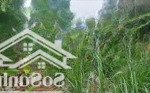 đất kế ubnd huyện châu thành 200m, đường trần văn ơn, châu thành, bến tre, 100m2/680 triệu.goi ngay
