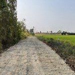 10.000m2 đất có đường hiển thị xã bình hoà bắc giá rẻ chỉ 2,5 tỷ, lh 094.990.9694