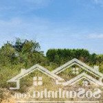 cần bán lô đất giá rẻ xã hòa hiệp, huyện xuyên mộc brvt. 47.949m² giá: 250tr/s 0878 567 179
